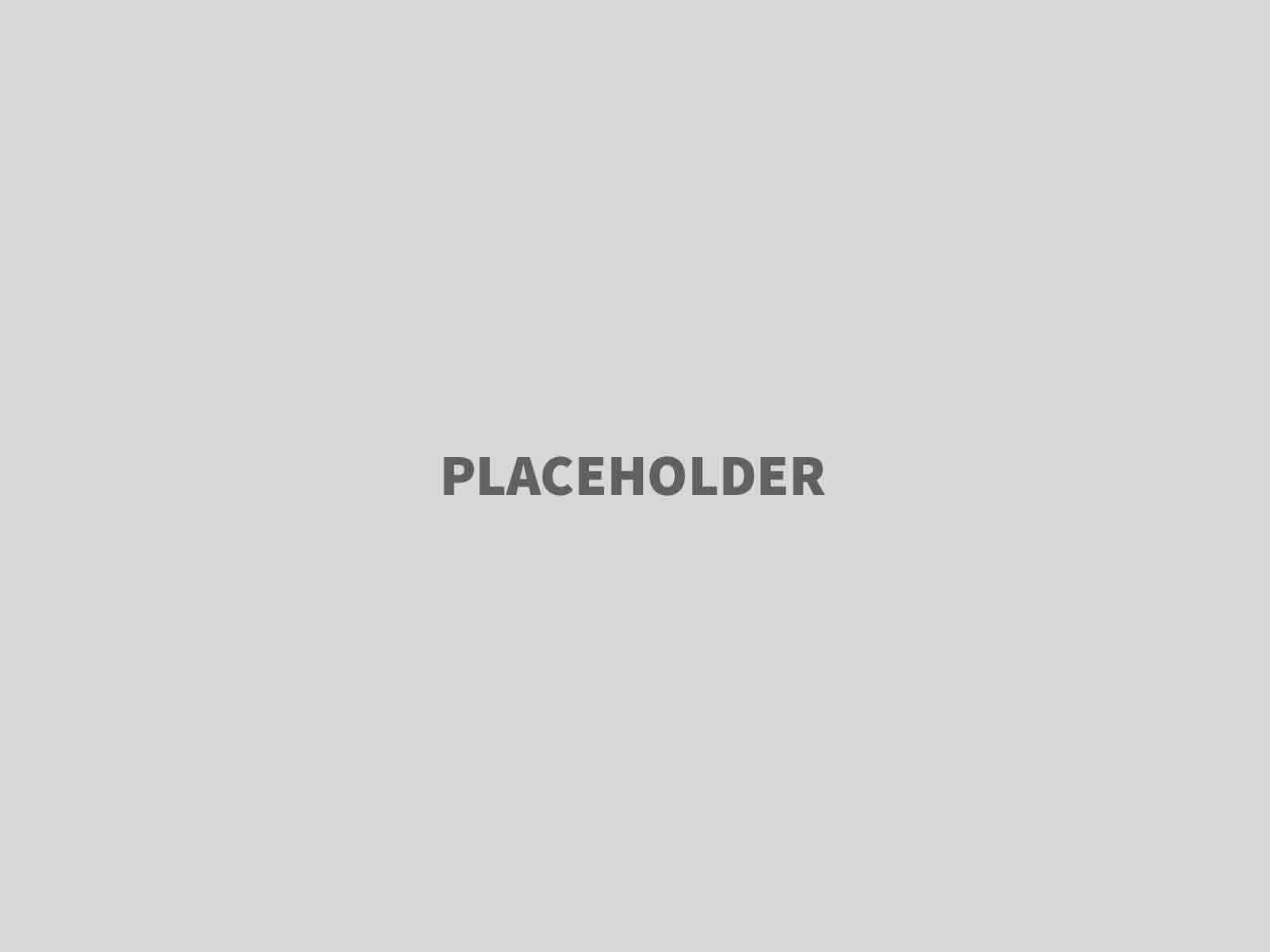 Charles Schlow’s Library Legacy